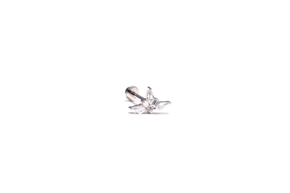 RS02-116 - CRETA FLOWER