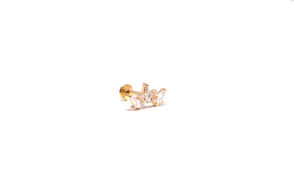 RS02-119 - AMELIA CLUSTER