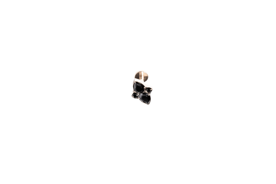 RS02-19 GINEVRA