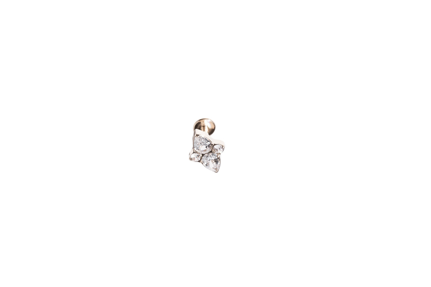 RS02-19 GINEVRA