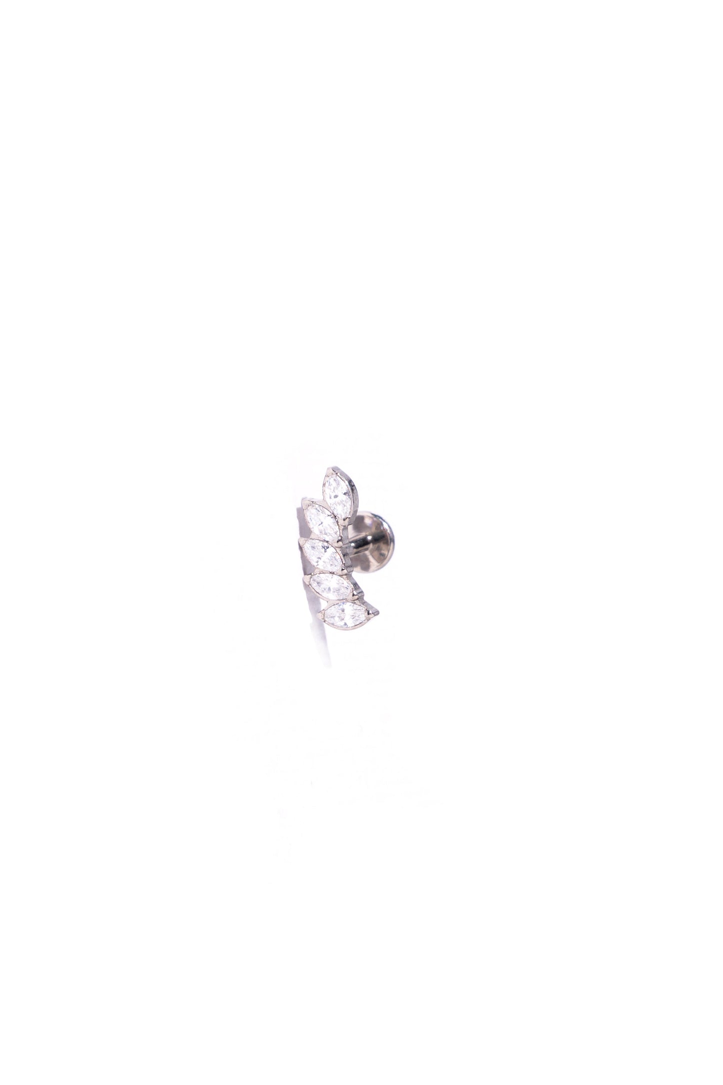 RS02-25 - MANNY CLUSTER CURVED OBLIGUE