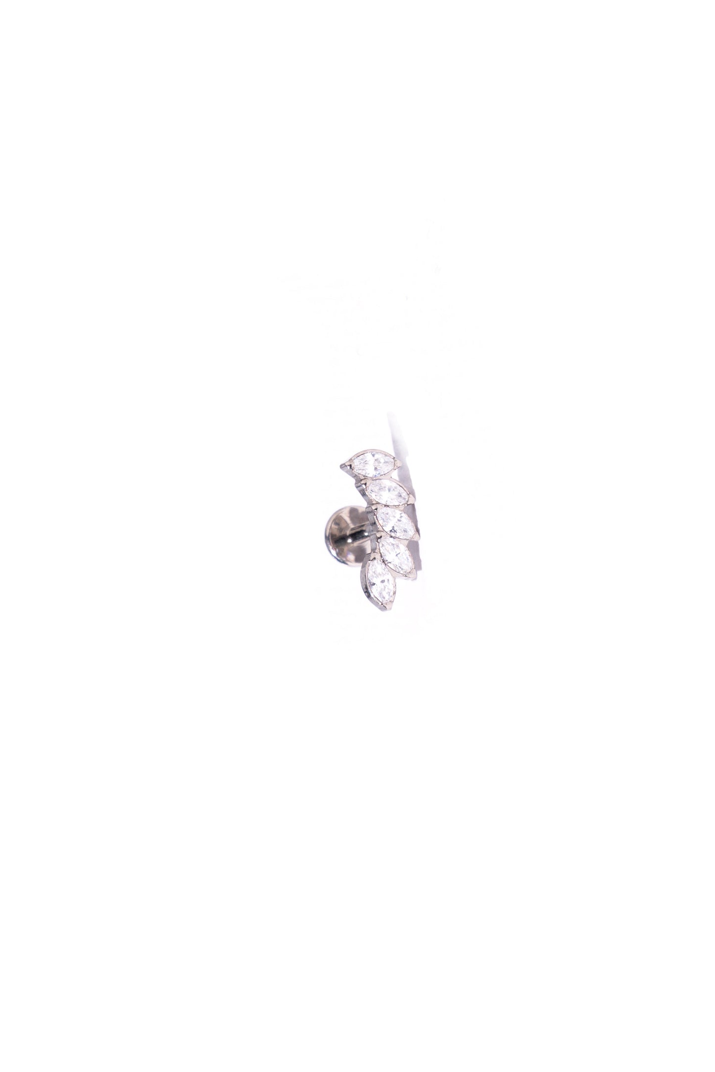 RS02-25 - MANNY CLUSTER CURVED OBLIGUE