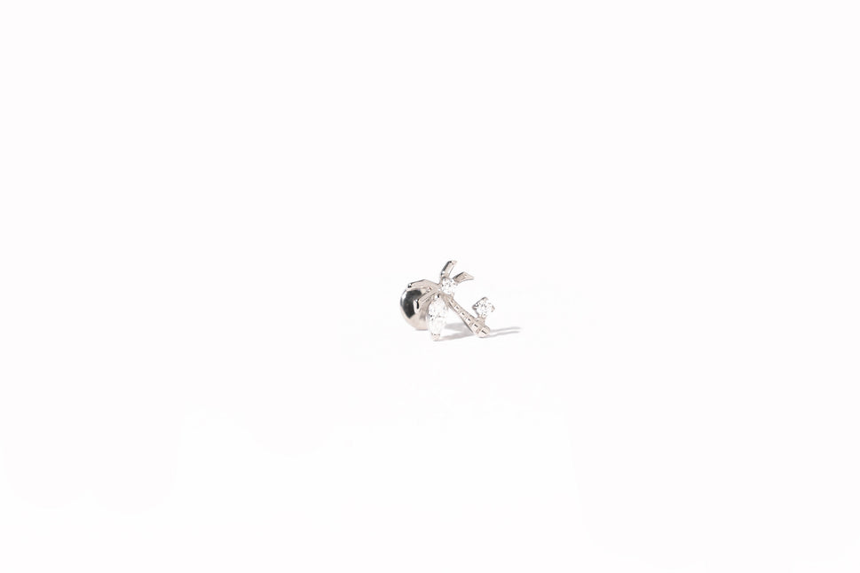 RS02-31 - PALM